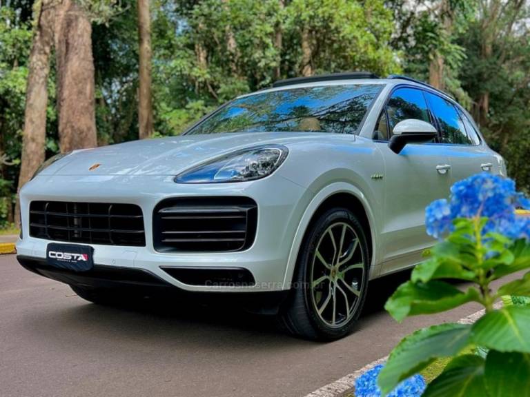 PORSCHE - CAYENNE - 2023/2023 - Verde - R$ 710.000,00